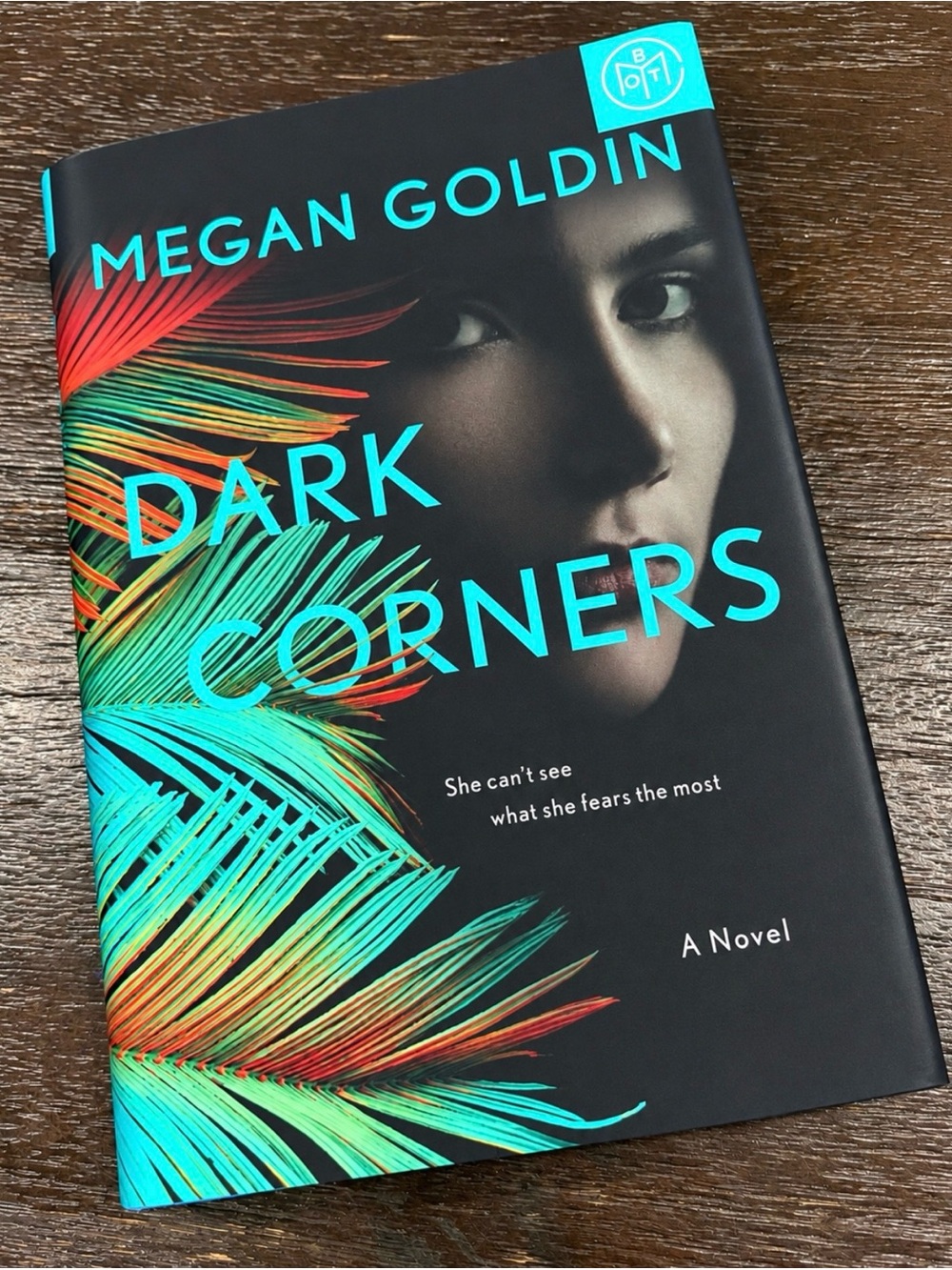Dark Corners by Megan Goldin- Black